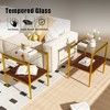 MAYEERTY Coffee Table and End tables Set of 3, Tempered Glass Table with MDF layer, Modern Tables for Living Room , Transparent Glass - 2 of 4