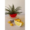 Ceramic Watermelon Slice Planter – 4" Tall Summer Decor Accent by Kalalou - 2 of 3