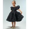 2Bunnies Girls' Organza Puff Sleeve Babydoll Fit & Flare Dress - 3 of 4