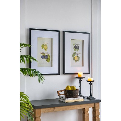 Set of 2 Black Framed Botanical Fruit Wall Art