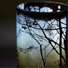 Cyan Design - Miombo - Vase-9 Inches Tall And 6 Inches Wide - 2 of 3