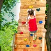 VEVOR 25 Rock Climbing Holds,Multi-Size and Colored Climbing Rocks for Kids and Adults,Rock Wall Holds with Knotted Rope,Handles and Mounting Hardware - 2 of 4