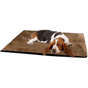 PETMAKER PAW 2-Inch Orthopedic Foam Pet Bed - 1 of 1