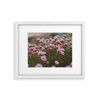 Hello Twiggs Pale Pink Flowers Framed Wall Art - Deny Designs - 2 of 4