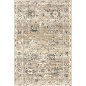 Nuloom Chava Vintage Floral Indoor Area Rug - 1 of 4