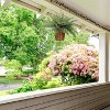 Floral Home 34" Wide Boston Fern with 35 Lifelike Fronds - 6-Piece - 3 of 4