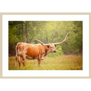 Amanti Art Sunlit Midwest I by PHBurchett Wood Framed Wall Art Print - 1 of 4