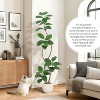 Artificial Rubber Tree with Planter, Tall Fiddle Leaf Fig Fake Plant for Indoor Home Decor, Large Tropical Floor Tree for Living Room - 4 of 4