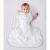 Love to Dream Swaddle Up Transition Swaddle Wraps Original Hip Harness - Dreamer White - Large - 3 of 4
