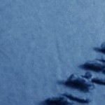 navy - paragon design