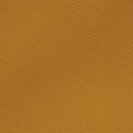 georgia bulldogs uga