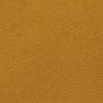 georgia bulldogs uga