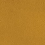 georgia bulldogs uga