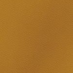 georgia bulldogs uga