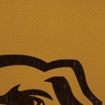 georgia bulldogs uga