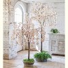 Plow & Hearth - Small Lighted Faux Weeping Cherry Tree - Use Indoors or Outdoors - 3 of 4