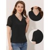 Allegra K Women's Casual V Neck Short Sleeve Semi-Sheer Swiss Dots Blouse - 2 of 4