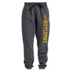 Harry Potter Hufflepuff Collegiate Unisex Jogger Sweatpants with Pockets for Men and Women Charcoal - 3 of 4