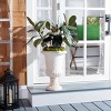 Paul Planter - Indoor/Outdoor - PAT5037 - Safavieh - 2 of 4