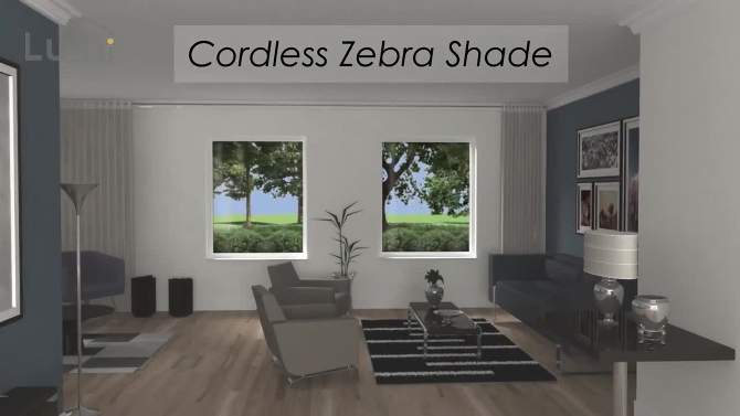 1pc Blackout Cordless Roller Zebra Shade Gray - Lumi Home Furnishings, 2 of 9, play video