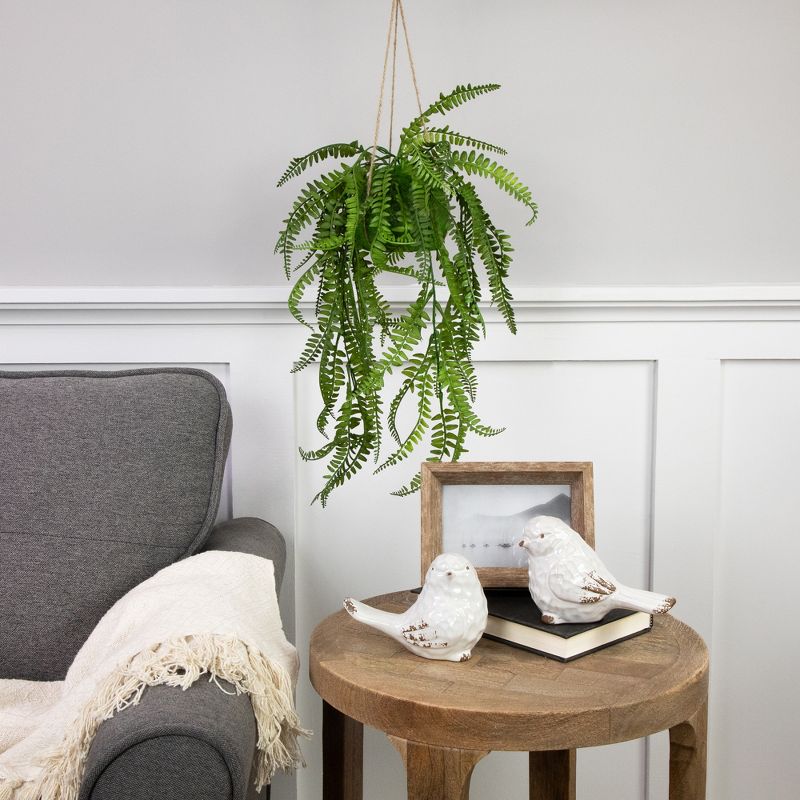 Northlight 18" Artificial Fern Plant with Moss Ball and Hanging Jute Cord, 2 of 7