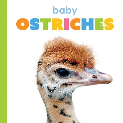 Baby Ostriches - (Starting Out) by  Kim Thompson (Paperback)