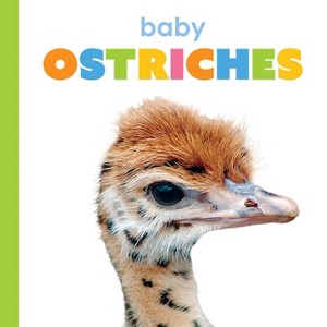 Baby Ostriches - (Starting Out) by  Kim Thompson (Paperback) - 1 of 1