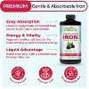 Why Not Natural Liquid Iron Supplement for Adults & Kids – Vegan, Non-GMO, Sugar-Free Formula for Anemia, with Organic Blackberry Flavor, 16 fl oz - 2 of 4
