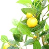 Lemon Tree Artificial, Fake Lemon Tree, with Realistic Trunks Fruitsand Leaves, Artificial Plants Indoor Perfect for Home Living Room Porch Balcony - 4 of 4