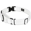Country Brook Petz Heavyduty Nylon Martingale with Premium Buckle - 2 of 4