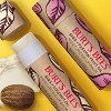 Burt's Bees Shea + Coconut Oil Paper Tube Lip Balm - 0.34oz - 3 of 4