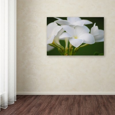 Large White Flower Canvas Art on Green Background