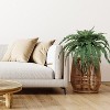 Floral Home 48" Boston Fern with 60 Lifelike Fronds - 4-Piece - 2 of 4