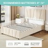 Coolmee Twin Size Bed Frame with Adjustable Headboard and 2 Storage Drawers, Velvet Upholstered Tufted Platform Bed Frames with Wooden Slats Support - 4 of 4