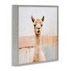 Stupell Industries Rustic Llama Portrait Framed Giclee Art - 2 of 4