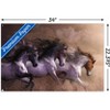 Trends International Laurie Prindle - Run To Freedom Unframed Wall Poster Prints - 3 of 4
