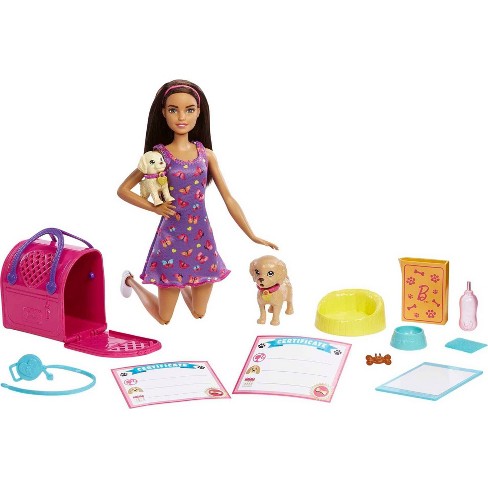 Barbie Toys, Skipper Doll and Waterpark Playset