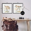 Stupell Industries Sea Birds on Shore, 24" x 24" - 3 of 4