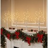 White Birch Tree Indoor Christmas Decor, 4 Pack Battery Operated/USB Lighted Tabletop Money Tree Lamp Led Lights - 4 of 4