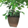 LCG Florals 38" x 24" Artificial Ficus Tree in Metal Container: Polyester Faux Foliage, Indoor Decor, No Assembly Required - 2 of 4