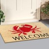 A1HC Natural Coir Doormat, 18" x 30", Heavy-Duty, Non-Slip PVC Backing Entrance Mat - 2 of 4