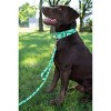 Country Brook Petz 1 1/2 Inch Martingale Dog Collar - Summer Breeze Collection - 2 of 4