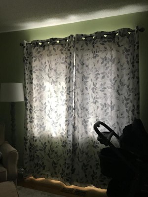 Guest review image 1 of 1, zoom in