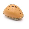 Collectible Wildlife Gifts | Shell, Cowrie Cowry Shell, Plastic Figure, Model, Realistic ,  Animal, Life Like, Gift,      1 1/2"     F1791 B145 - 2 of 4