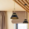 Nuvo Lighting Adina 1 - Light Pendant in  Matte Black - 2 of 4