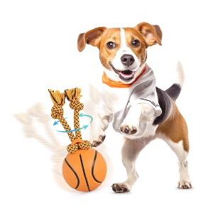 Allforpaws Intractive Dog Toys Dog, Spinning Basket Ball - 1 of 3