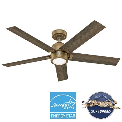 Hunter 52" Gold and Gray Wood Ceiling Fan with Light and Remote