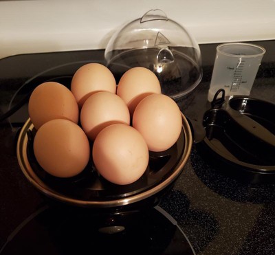 Hamilton Beach® 3-in-1 Egg Cooker with 7 Egg Capacity & Reviews