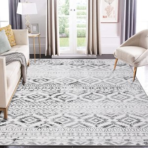 Area Rug Washable Rug Indoor Soft Rugs for Living Room Non Slip Accent Carpet - 1 of 4