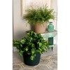 The HC Companies Indoor/Outdoor Round Plastic Classic Planter - 4 of 4